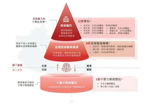 中藥老字號或將迎來第四個IPO，國內貿易代理成資本新寵