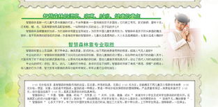 智慧森林 童裝品牌新勢力，攜手遠大恒通共創未來